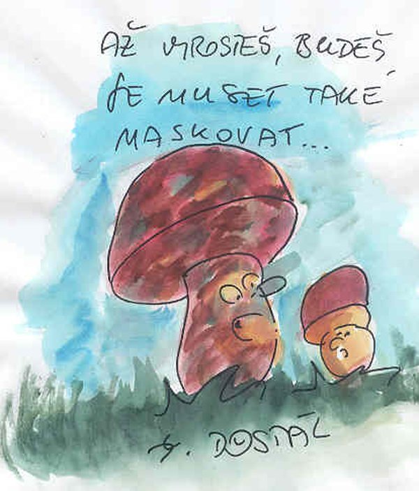 Maskované houby